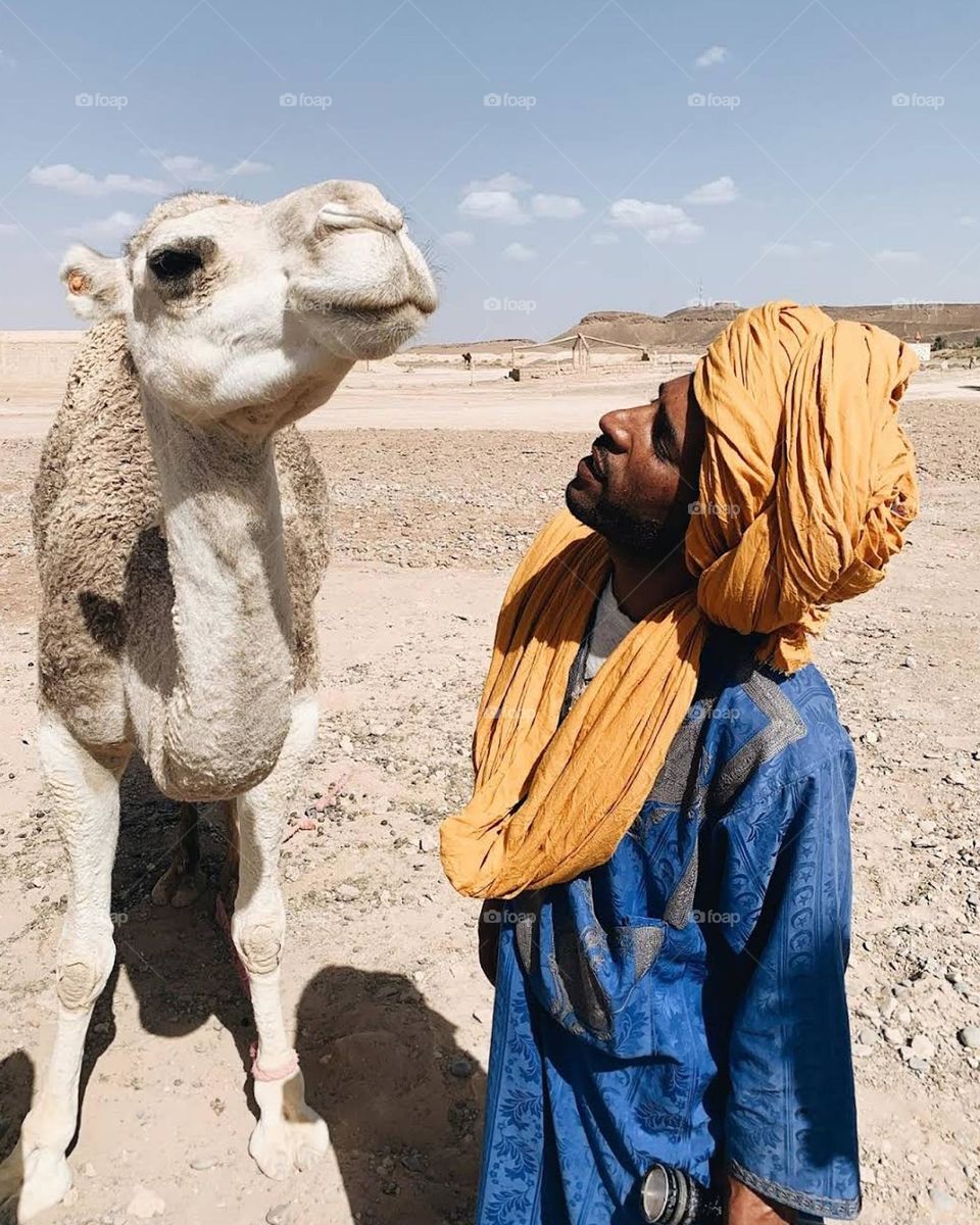 men and camel
