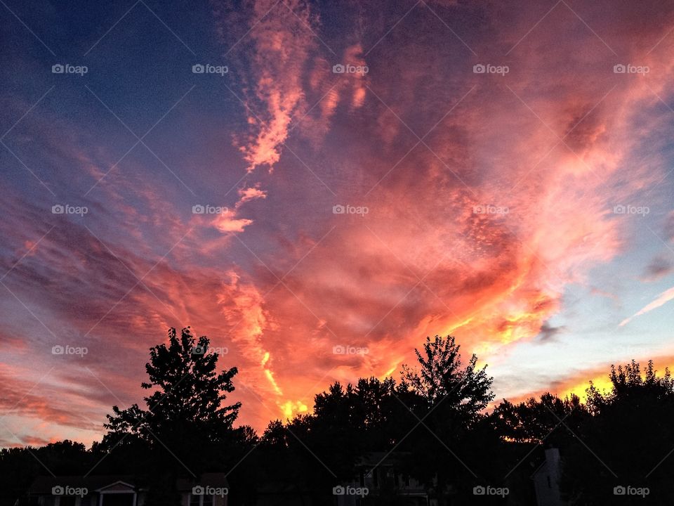 Forest against dramatic sky