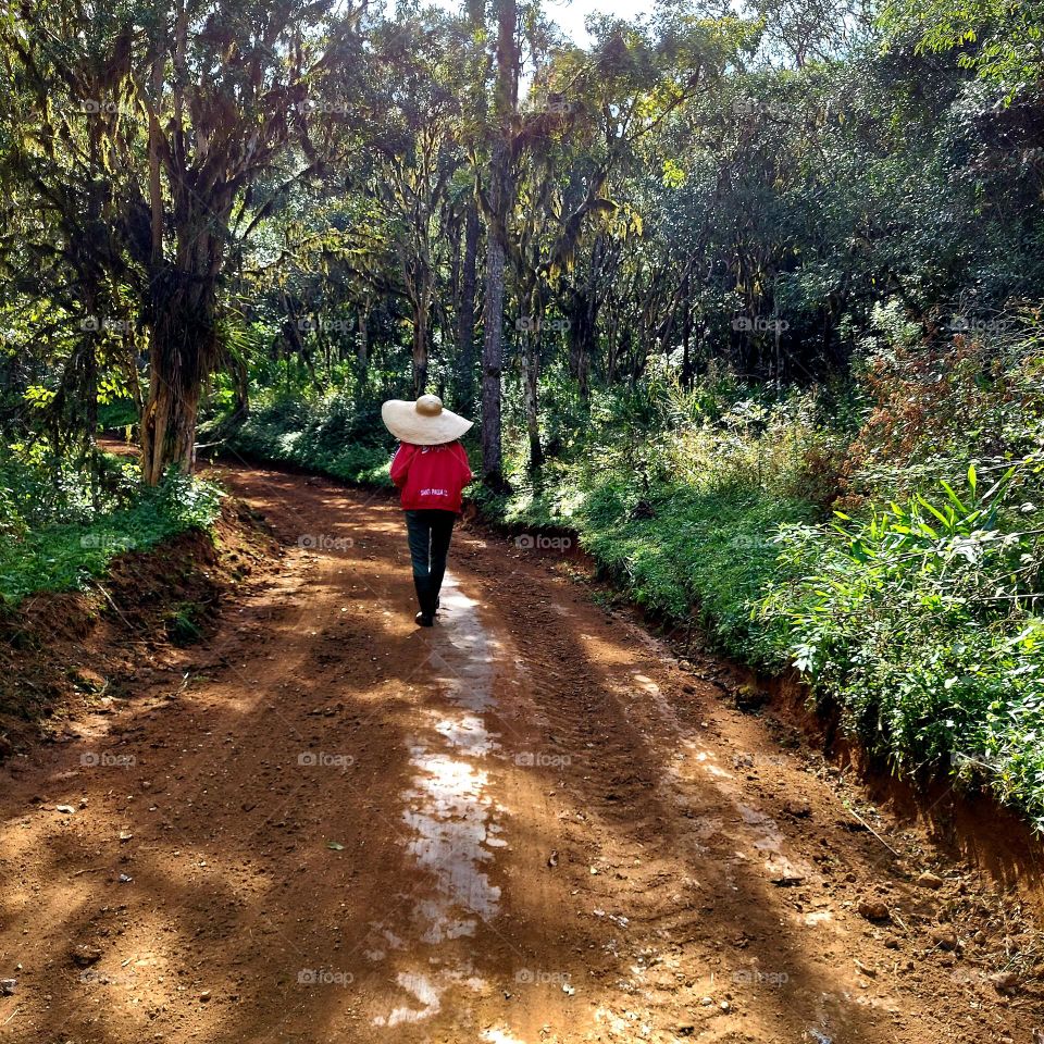 A melhor forma de relaxar, desestressar é ter contato com a natureza,  respirar ar puro, ouvir os passarinhos... o verde nos revigora.