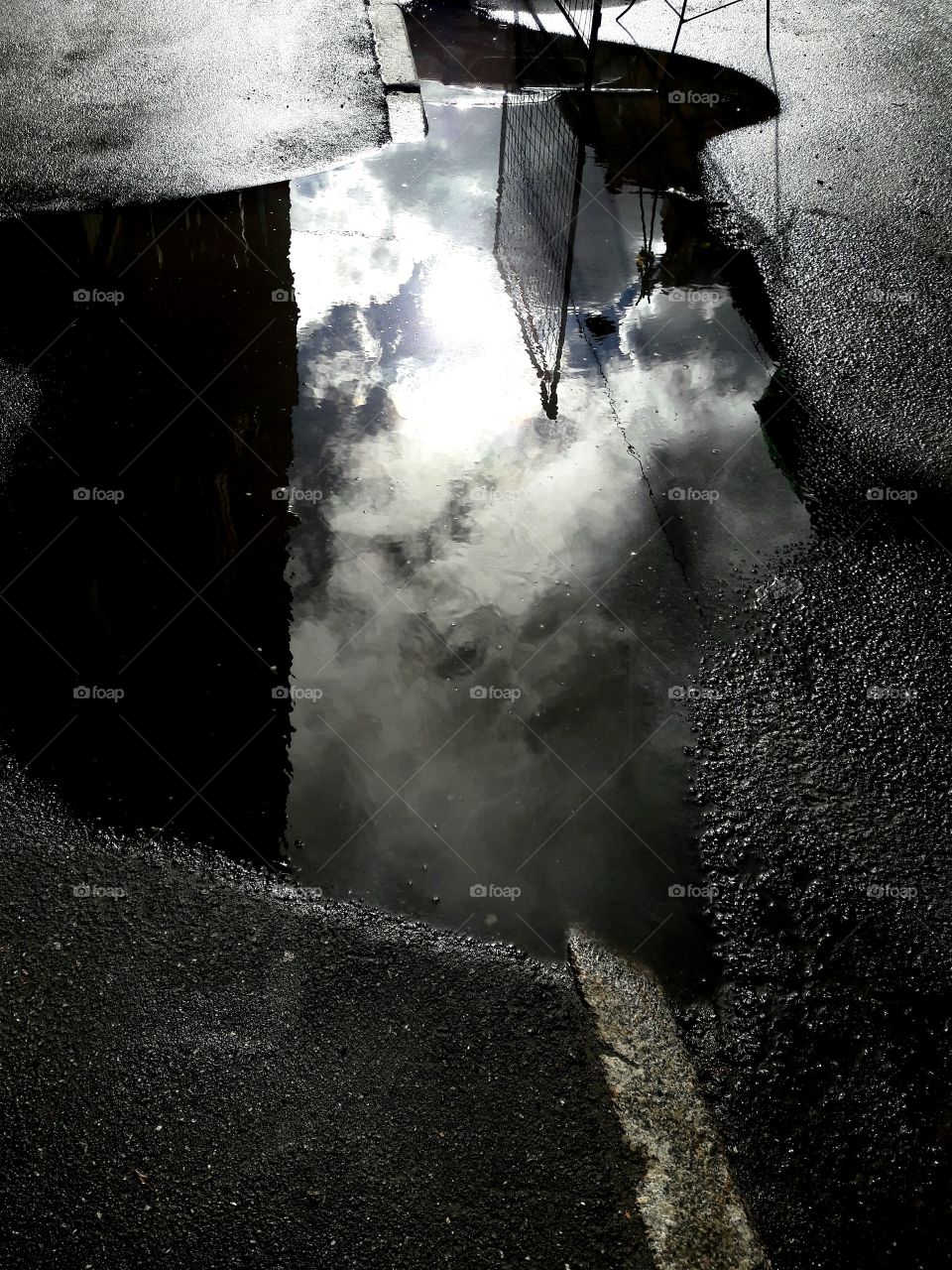 all about wild nature and weather