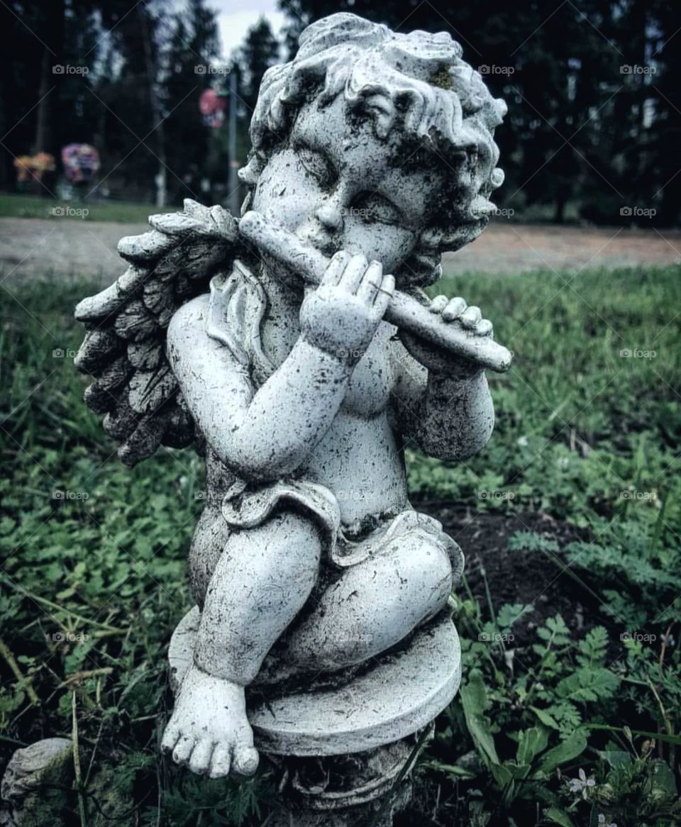 Long Dead Melodies 🎶