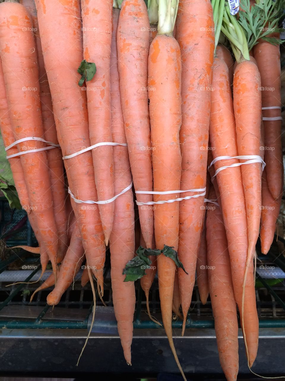 Carrots 