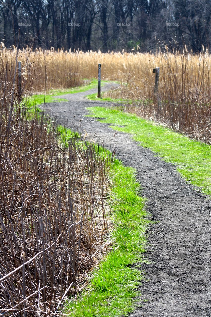 Green Pathway 