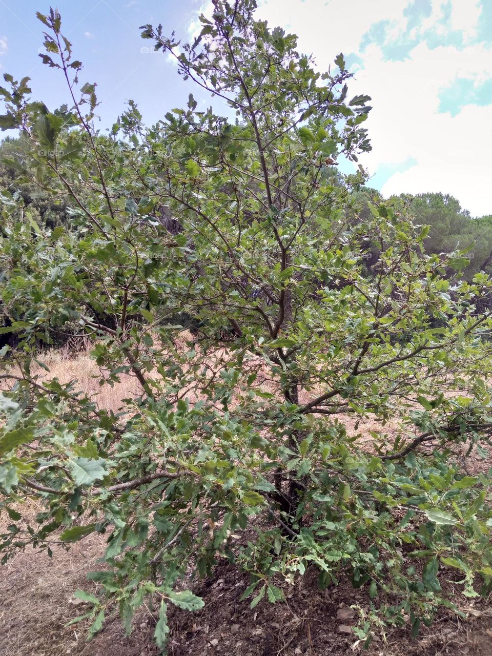 Editors' Choice - Photo of the Week