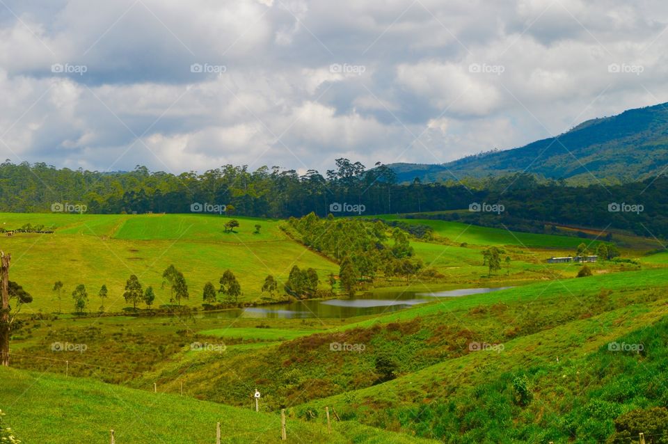 No Person, Agriculture, Landscape, Cropland, Countryside