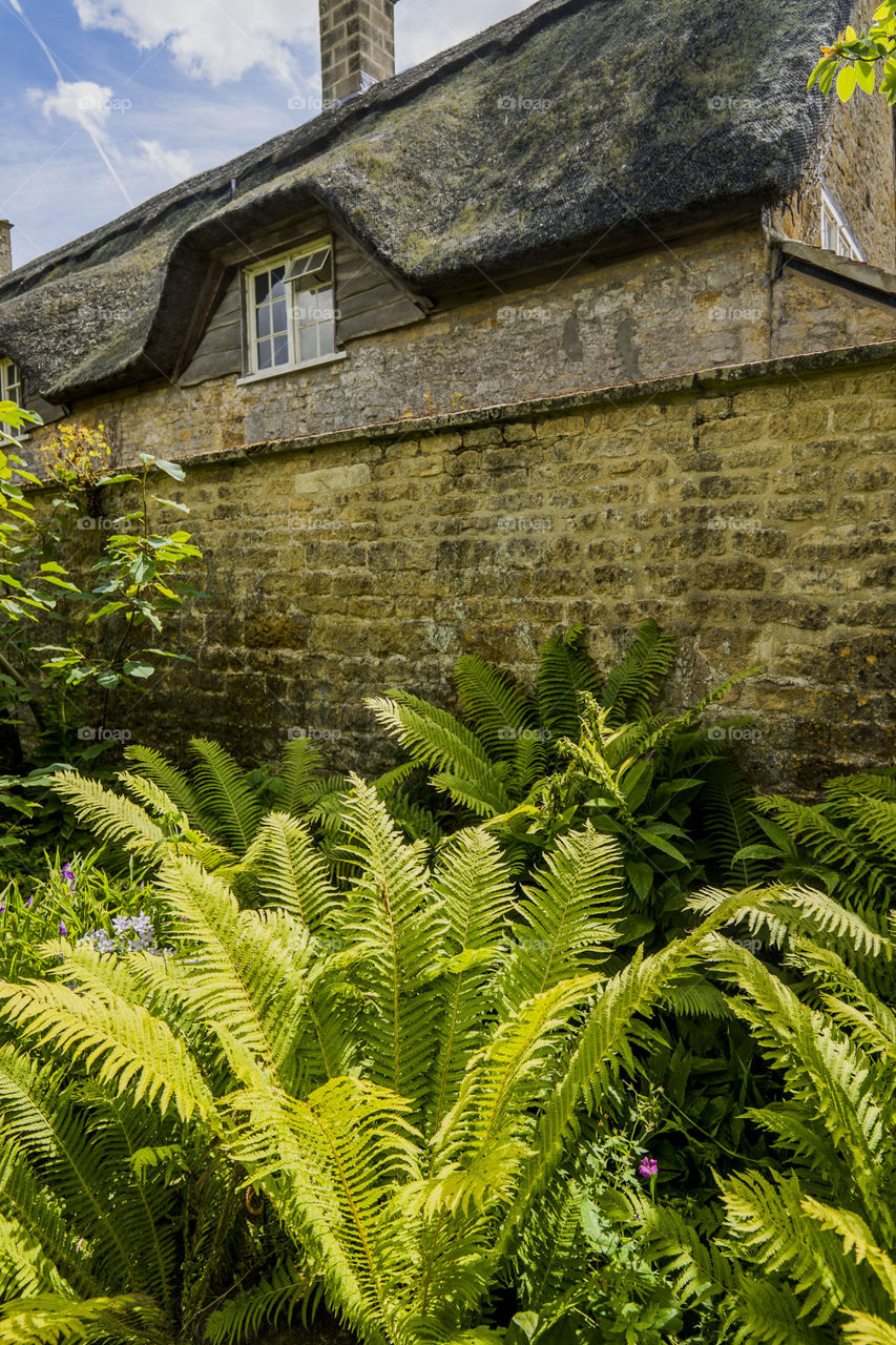 Cottage