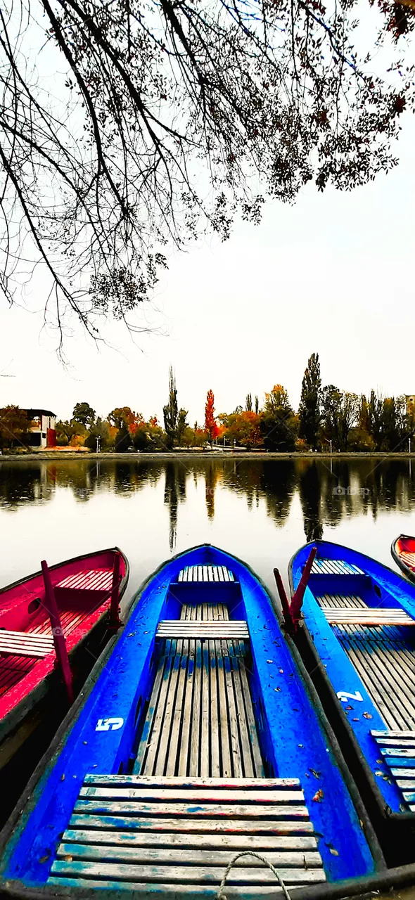 boats