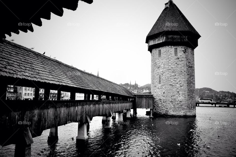travel water river path by fernando.muller.5682