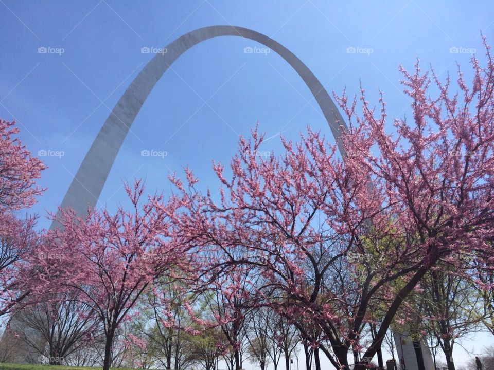 Saint Louis Arch