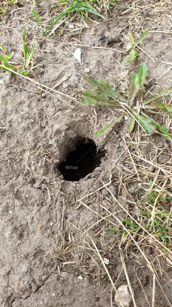 unknown hole