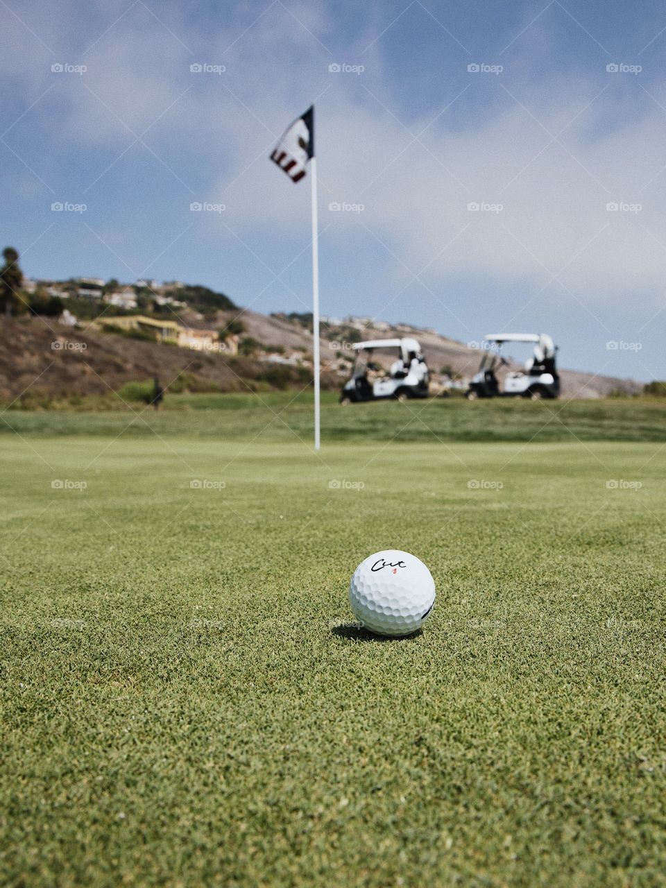 Golf ball sitting on the green.