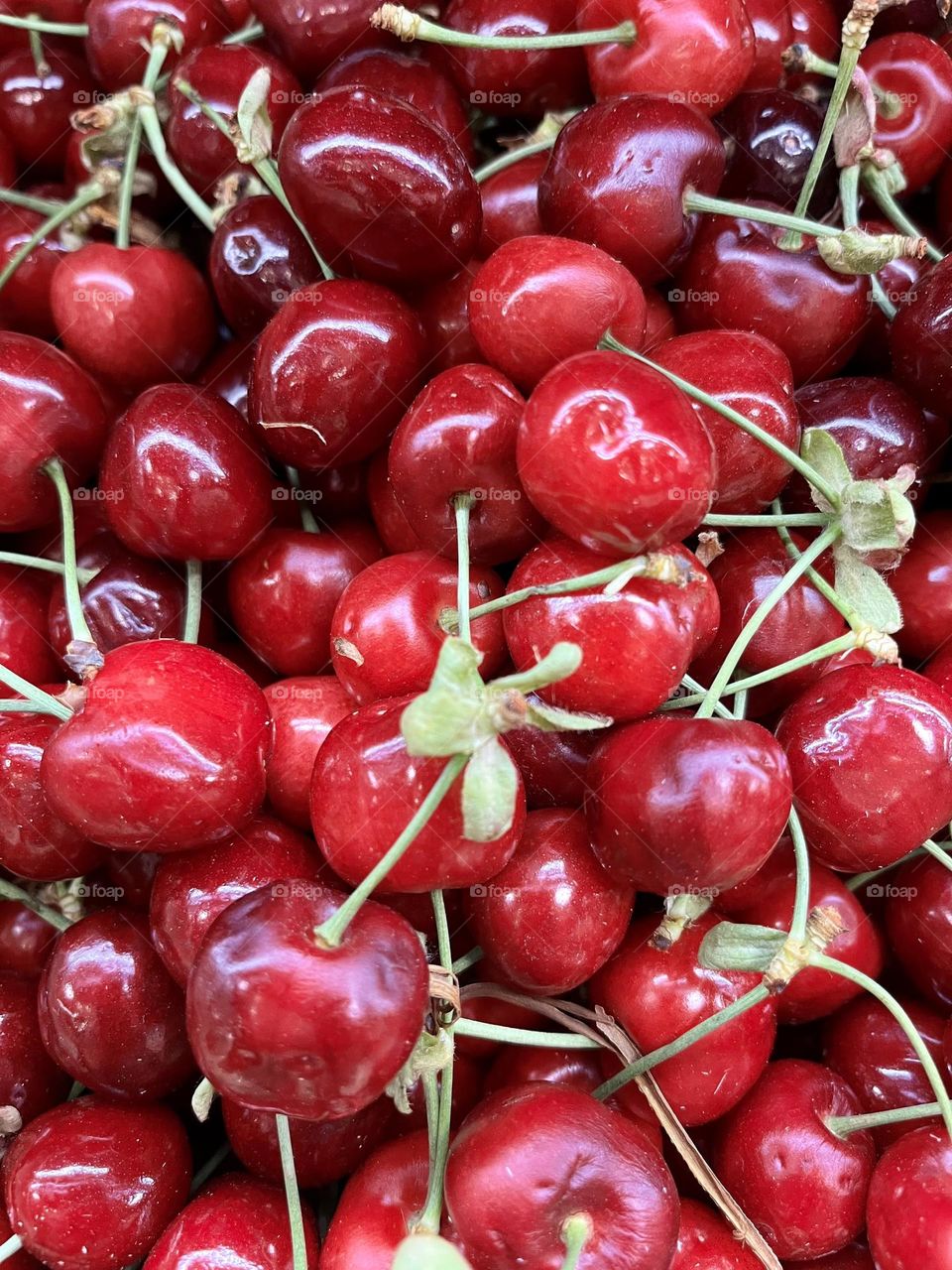 Close-up of cherries