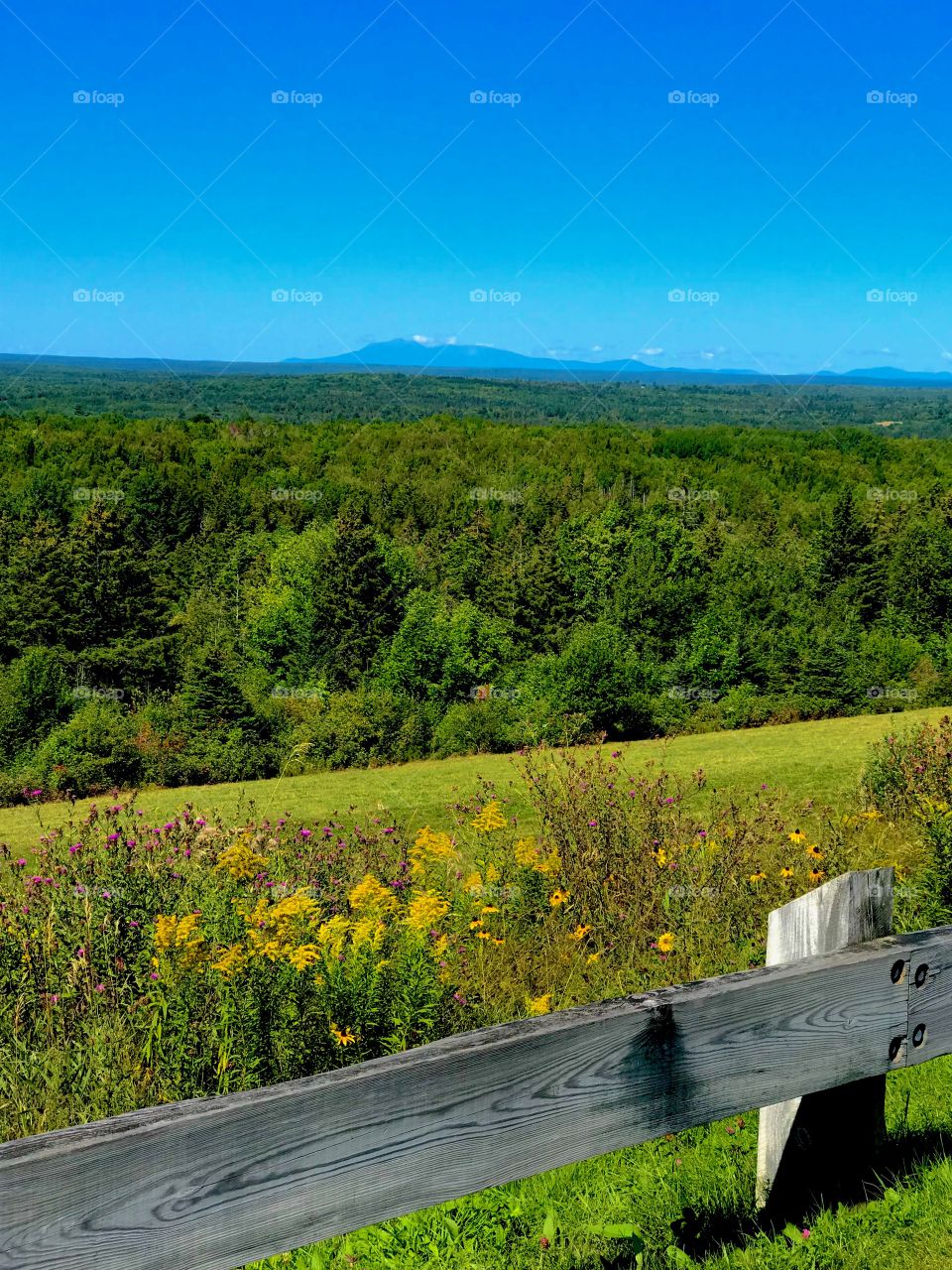 View of Mount Katahdin in Maine
