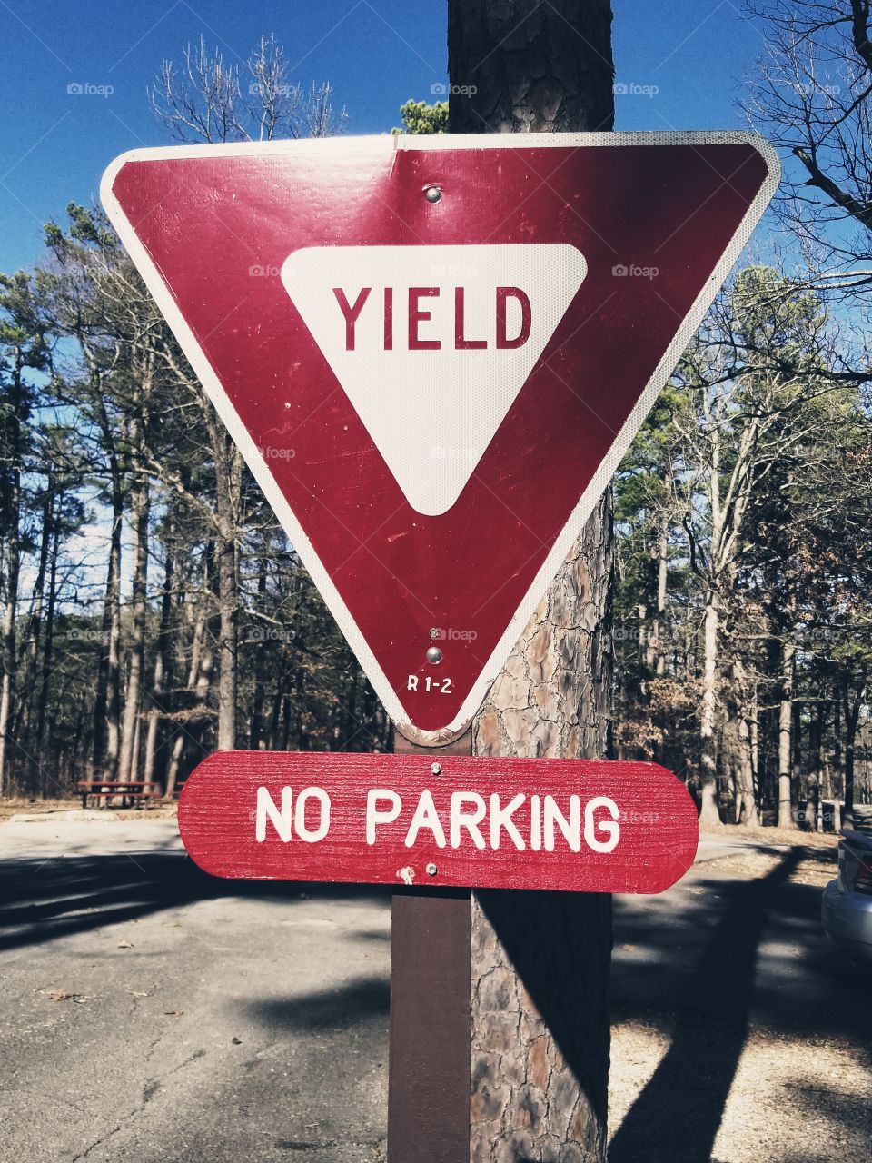 Road, Warning, Traffic, Signal, Street