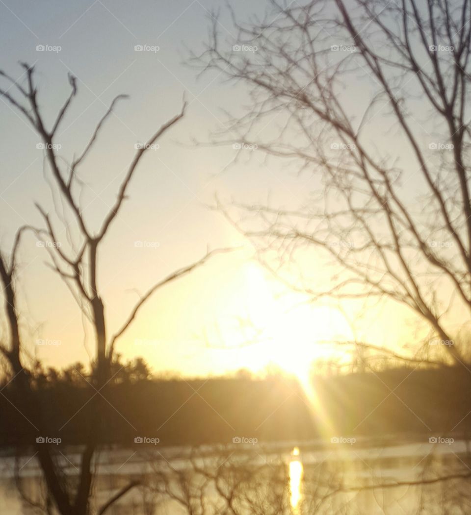 Sunset, Dawn, Tree, Landscape, Backlit