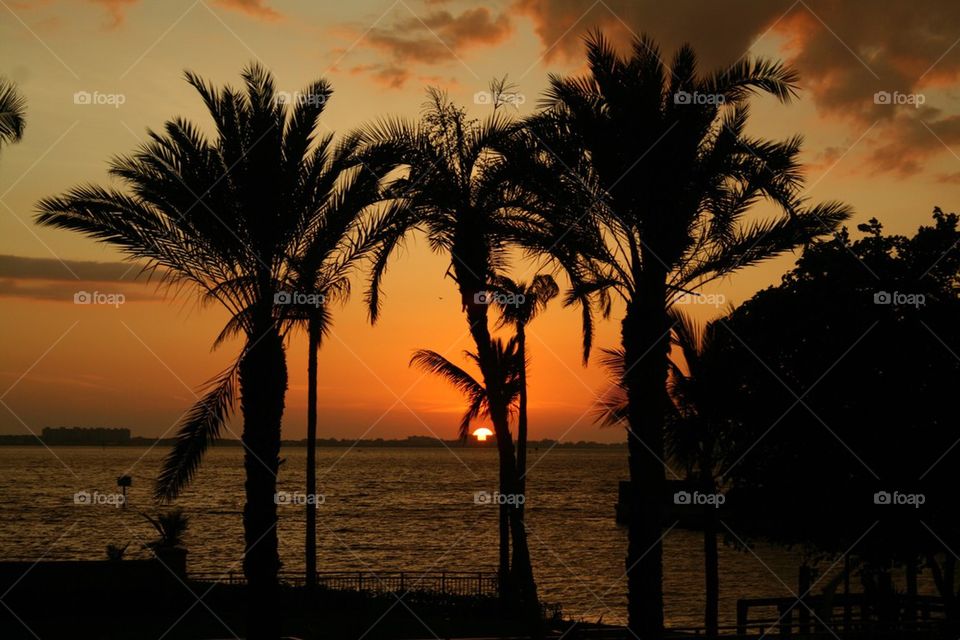 Sunset in Fl