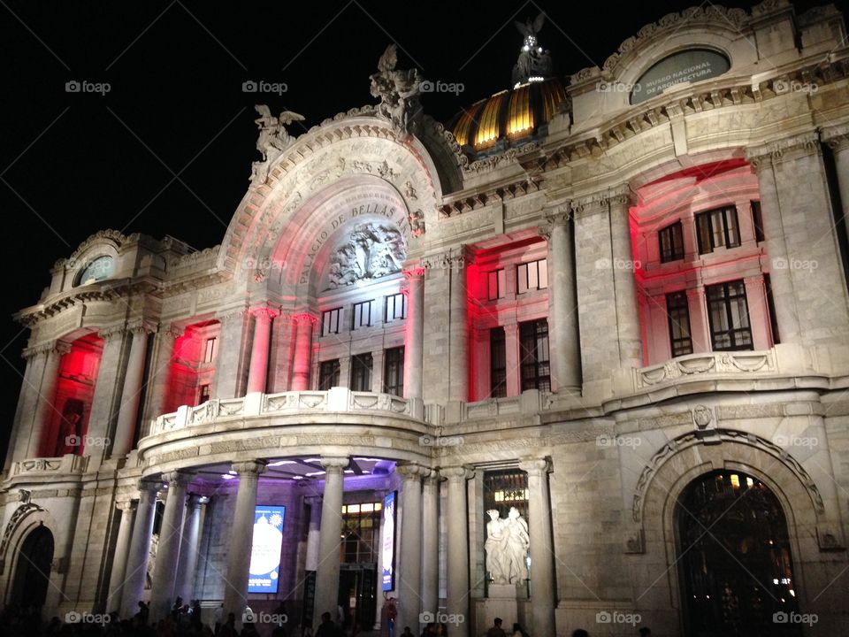 Bellas artes christmas