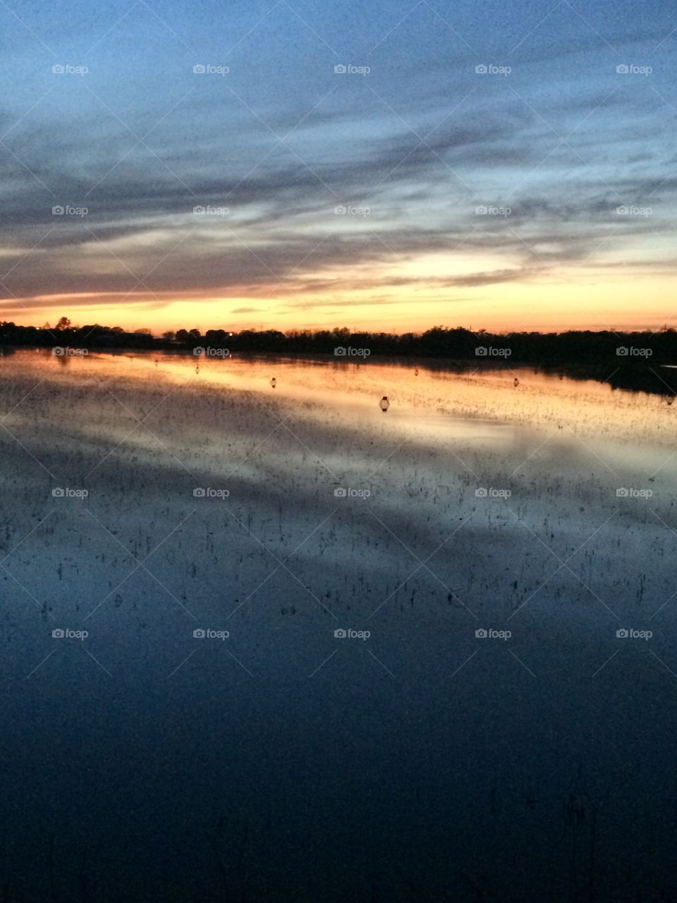 Colorful morning sunrise over crawfish pond