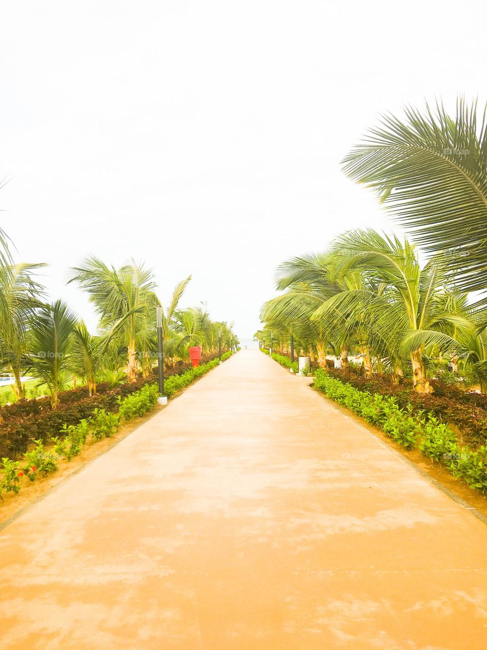 Walk down to the beach with me.