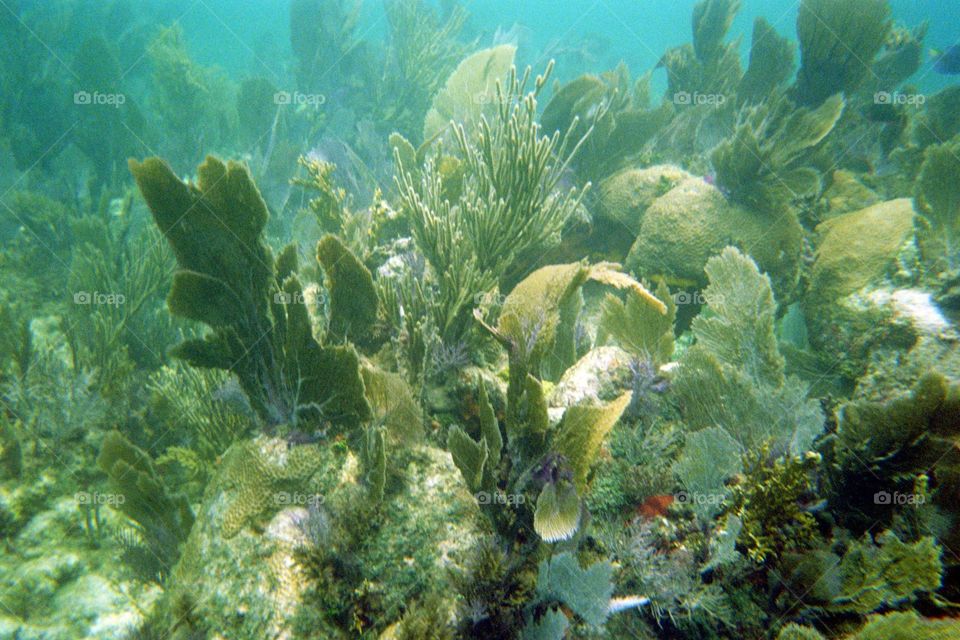 John penkamp state park