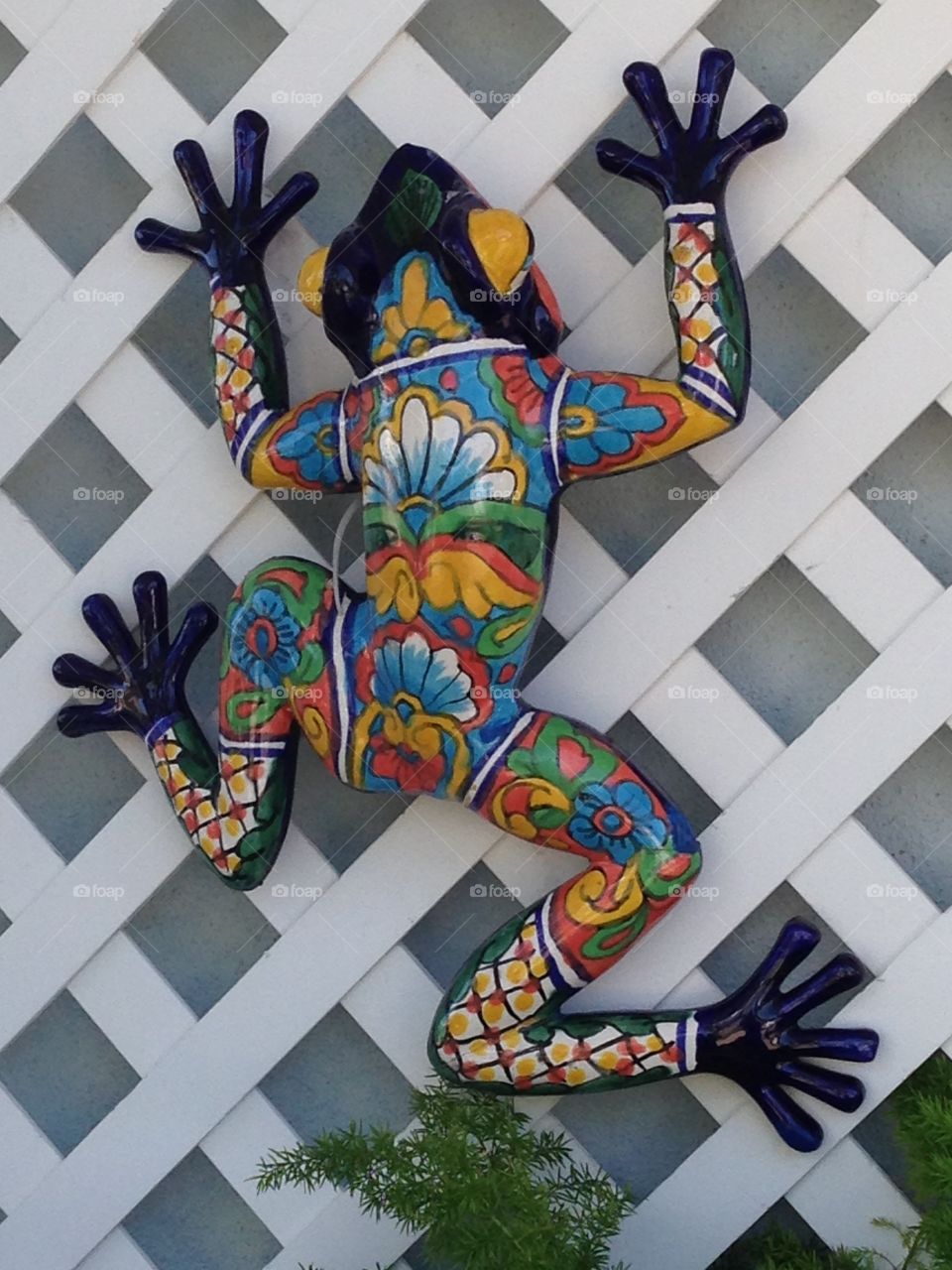 Painted frog on lattice