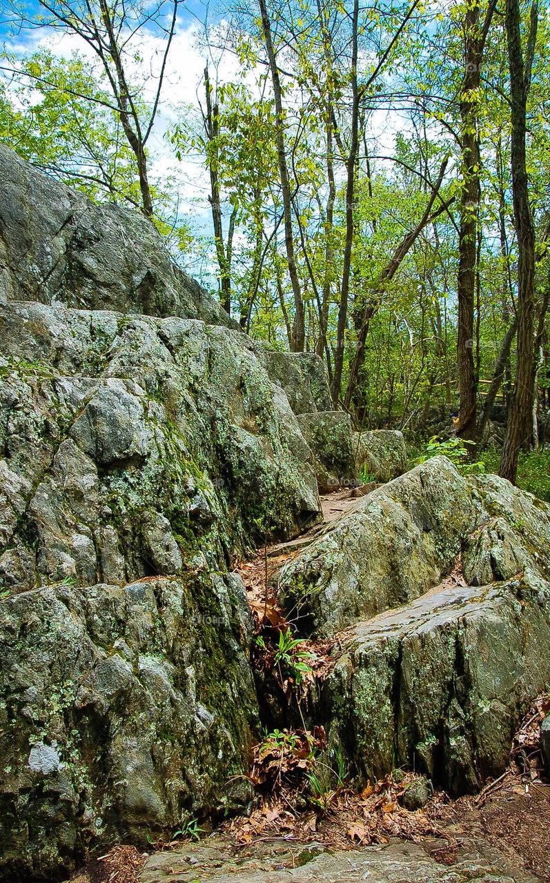 Rocks at Great Falls