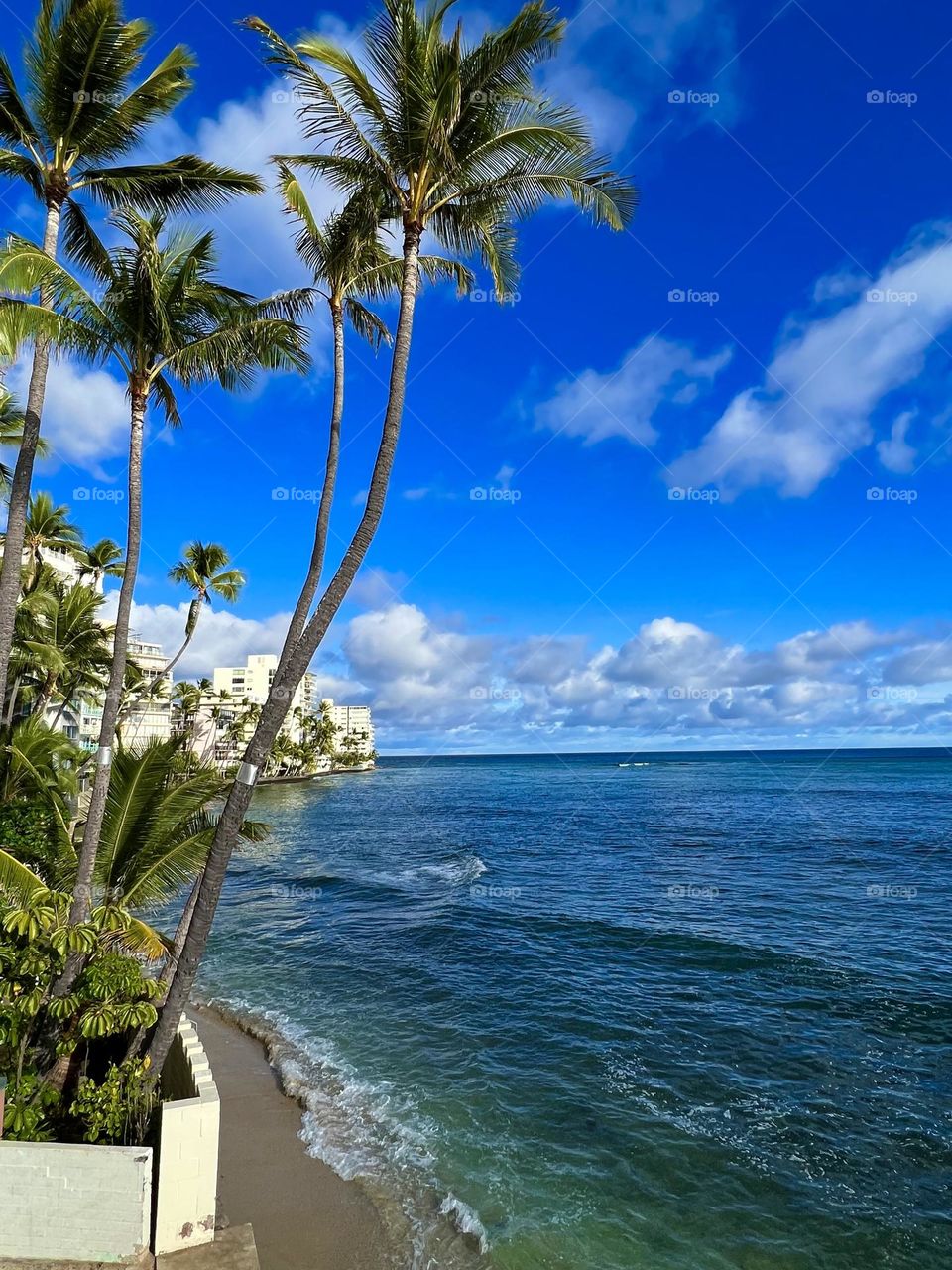 View of Kaluahole Beach from the Elks Lodge in Honolulu Hawaii 