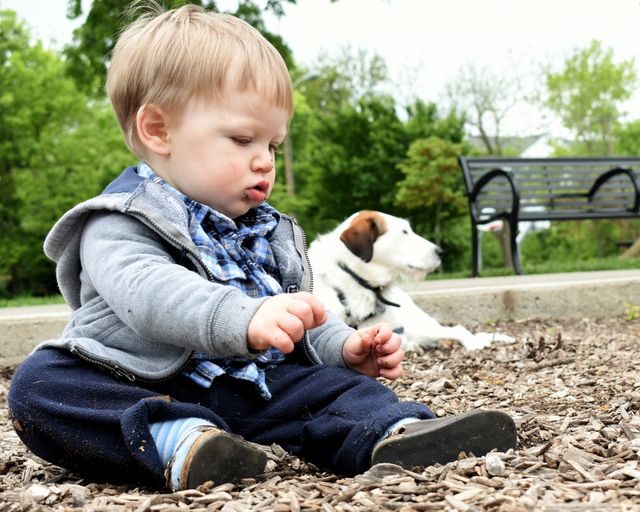 Cute baby boy getting new fall clothes dirty at playground 