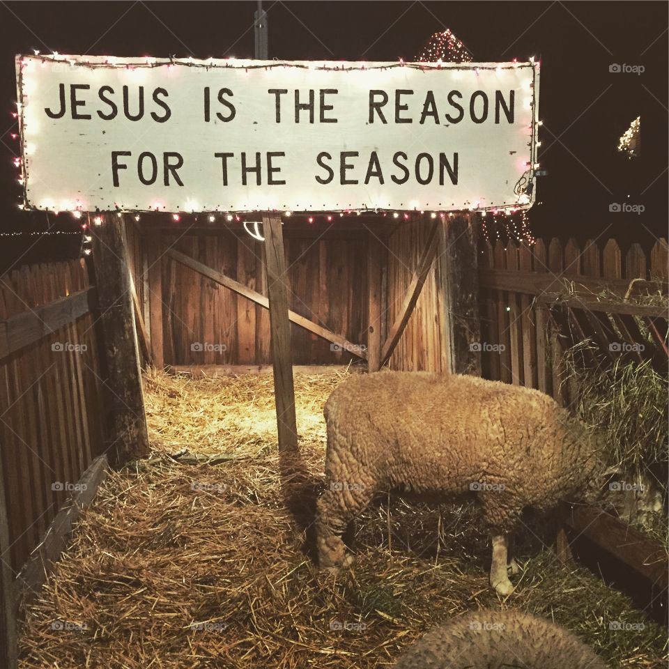 Jesus is the reason for the season.