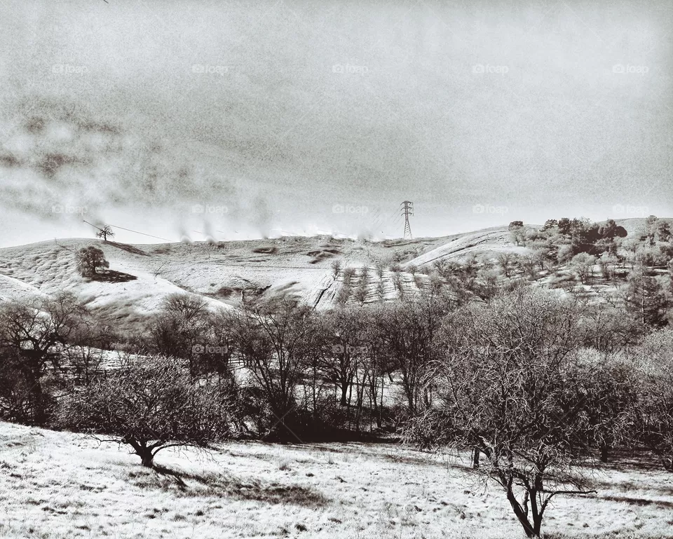 Land