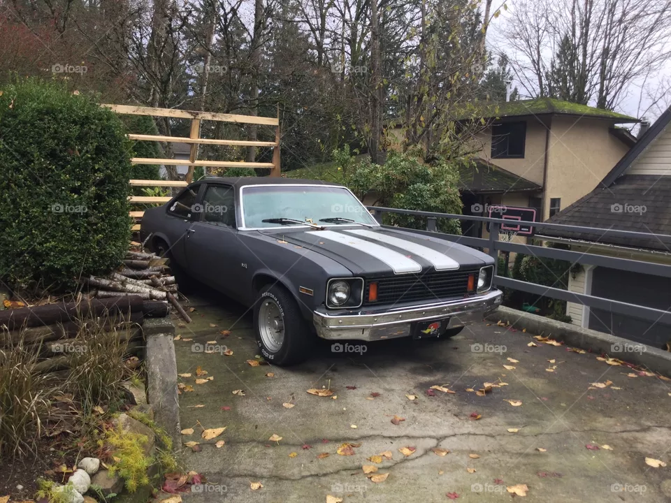 Old Muscle Car 
