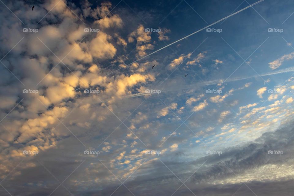 Cloudy sky at sunset and airplane trail