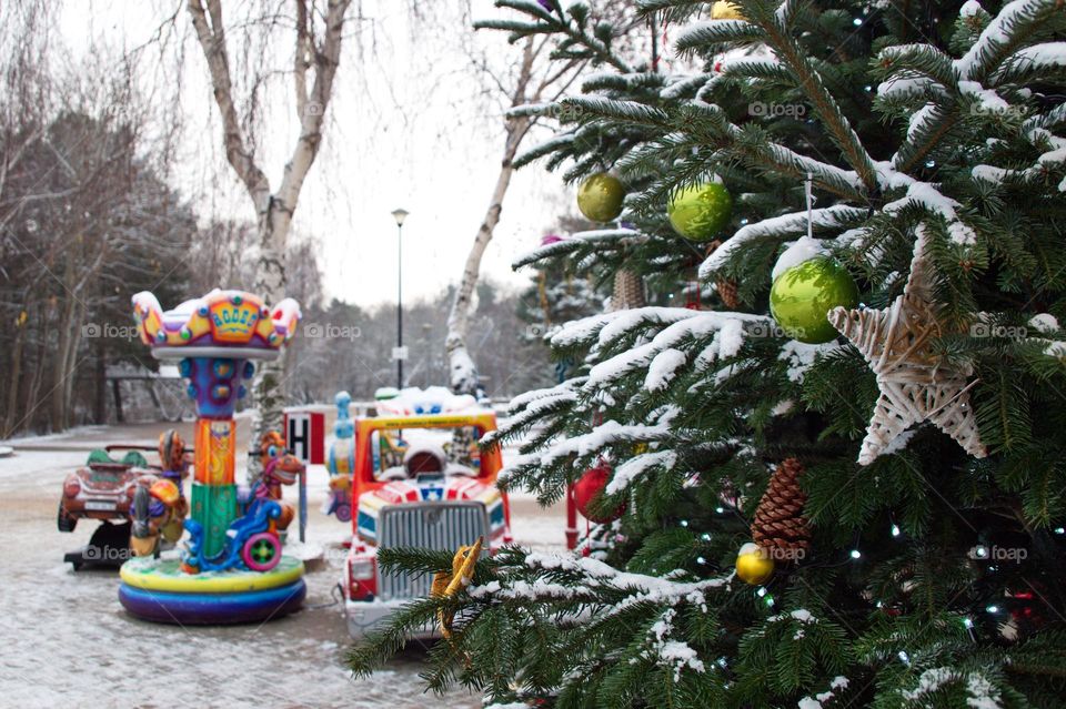 Christmas tree in the park