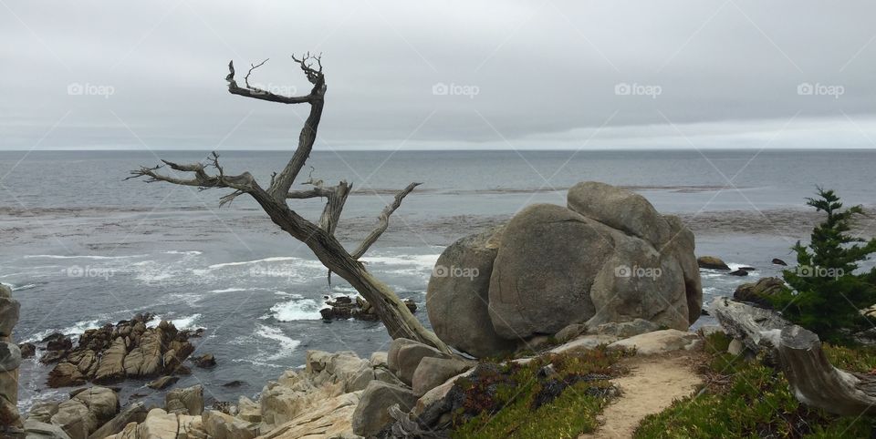 Pebble Beach, 17-Mile Drive 
Monterey and Carmel, California