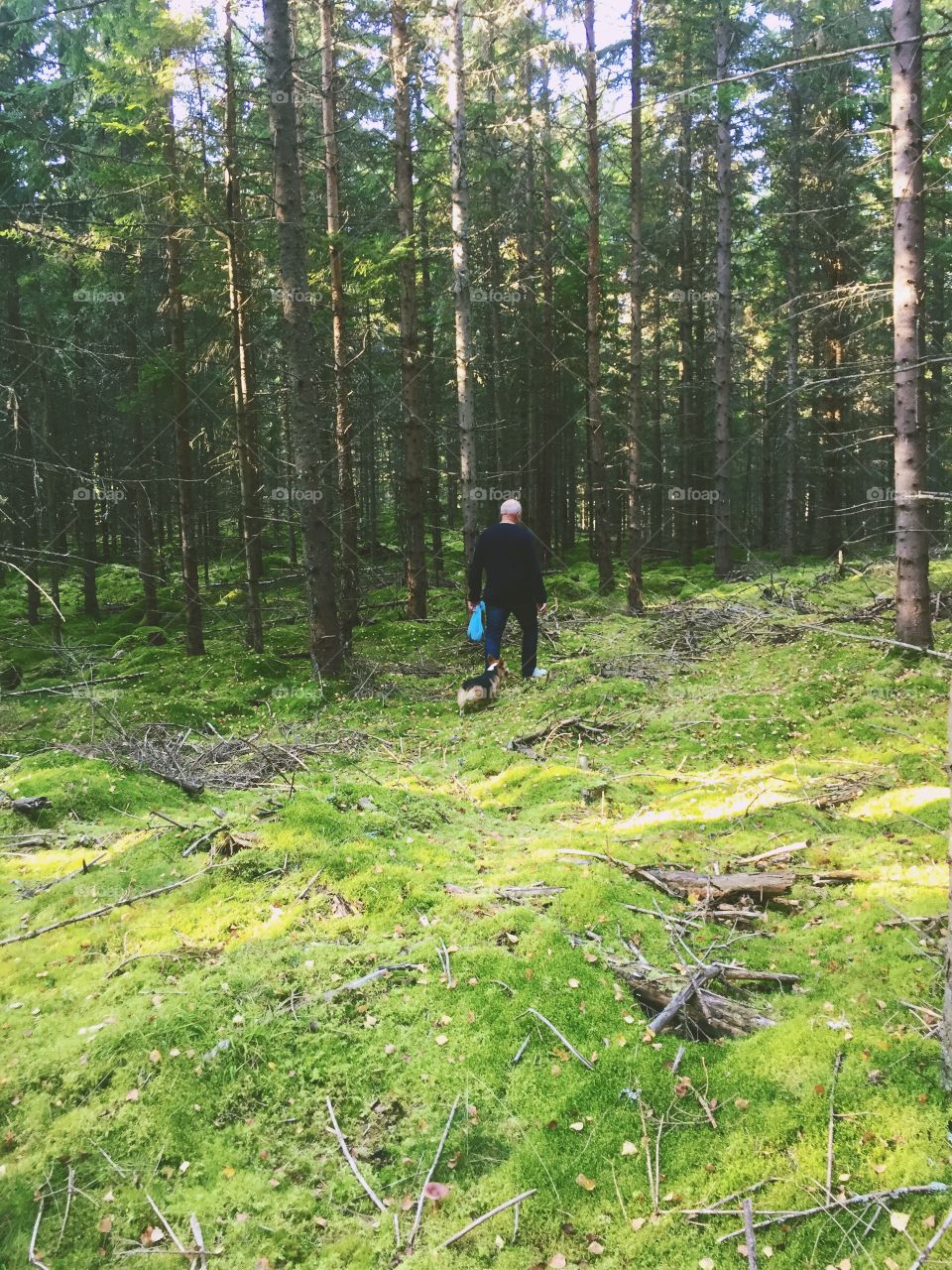 Man and a dog searching for mushrooms