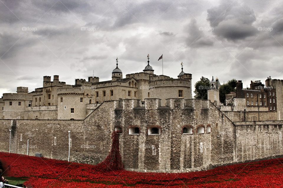 The Tower of London Remembers