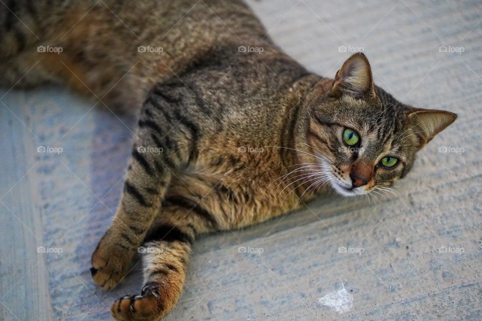 Editor’s choice. Photo of the week 