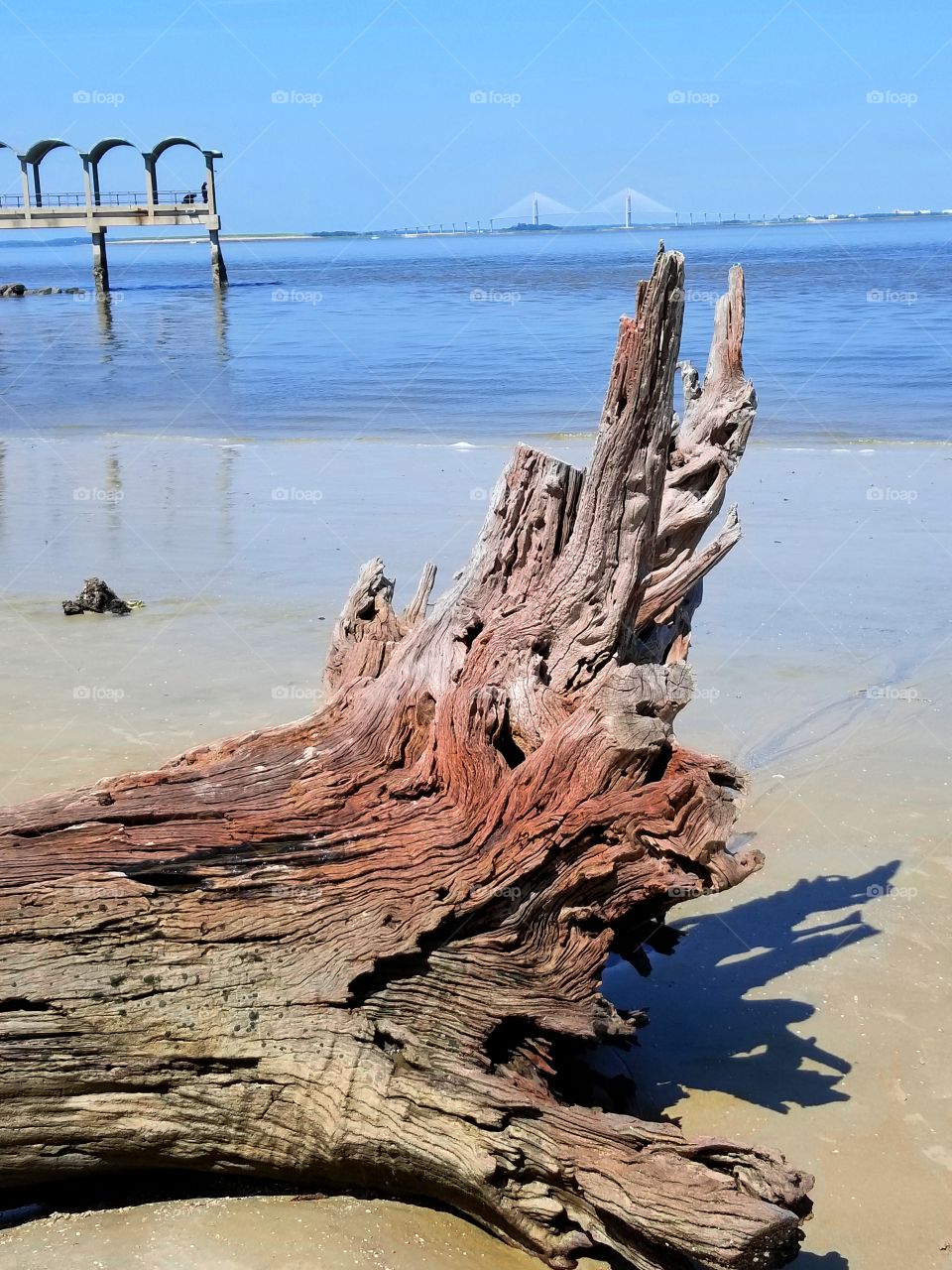 Driftwood