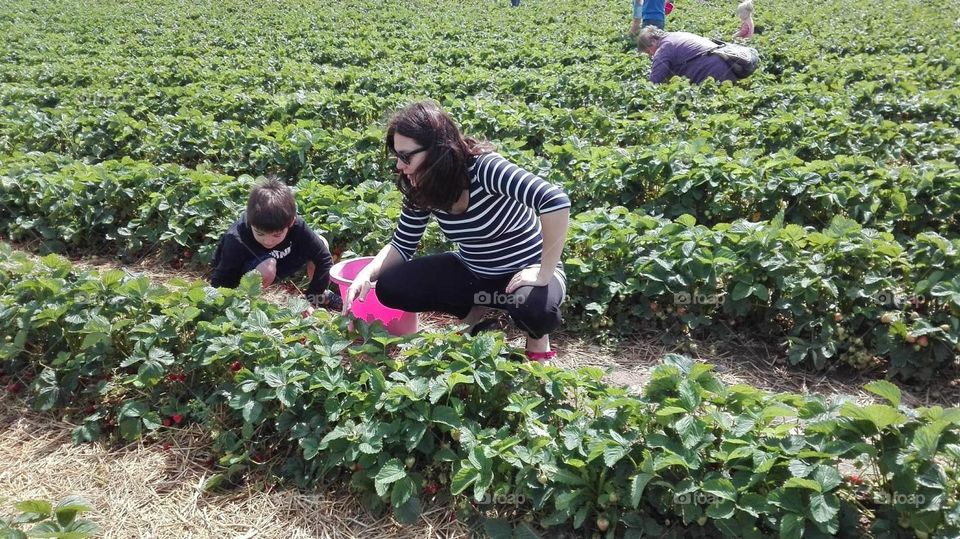 celebrating earth day