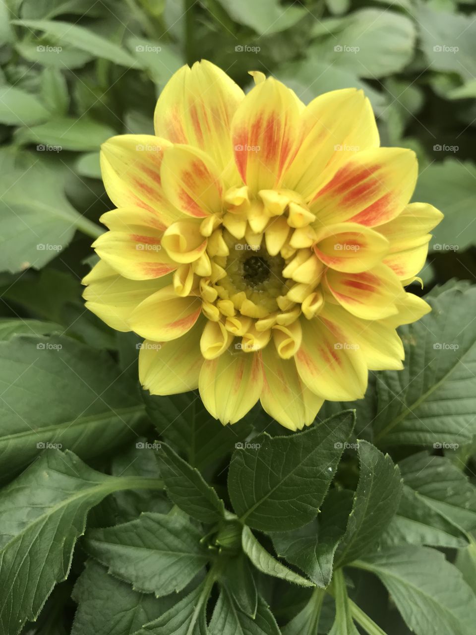 What’s your favourite?