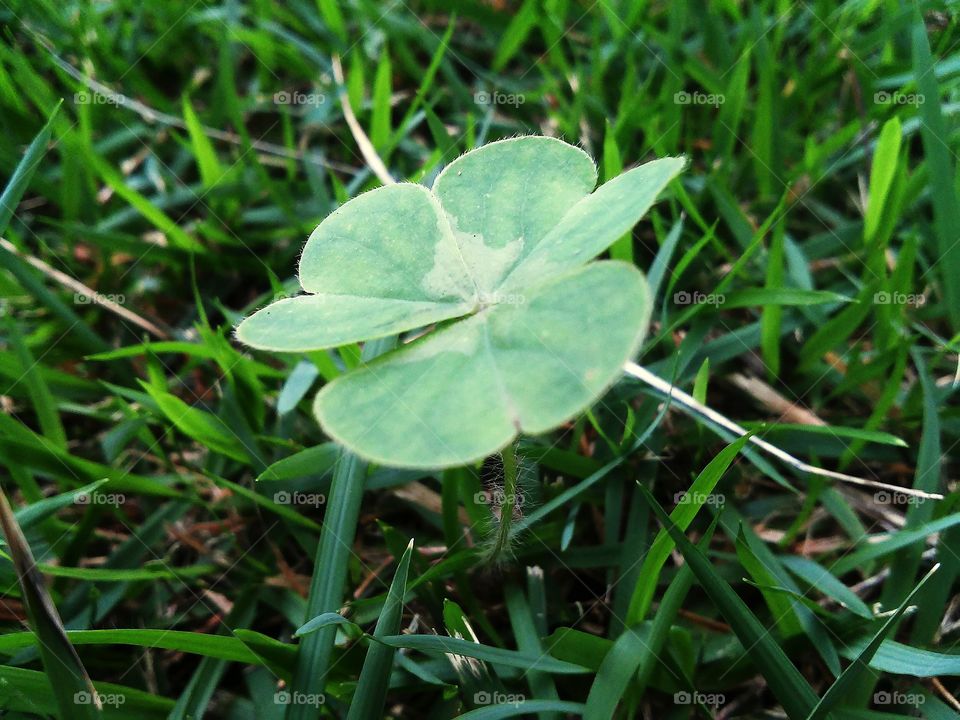 Beautyful macro shots