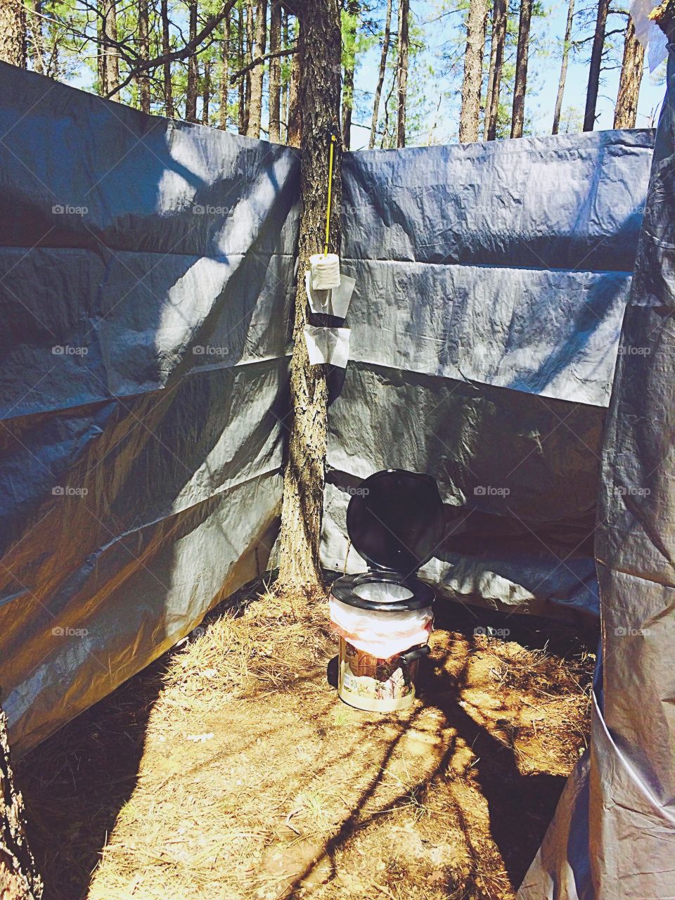 View of toilet in forest