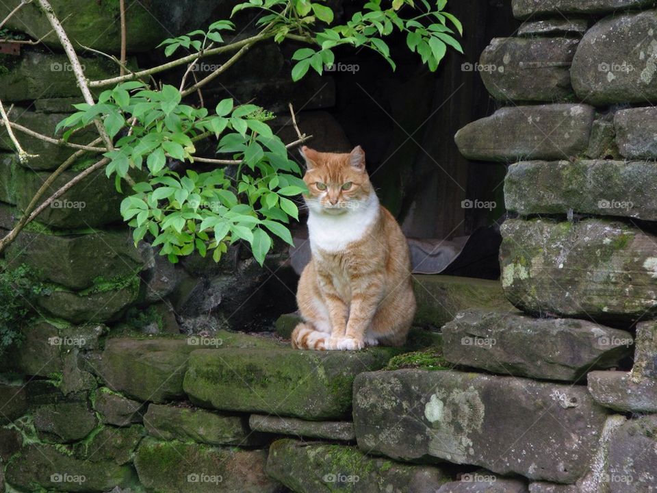 What you looking at?