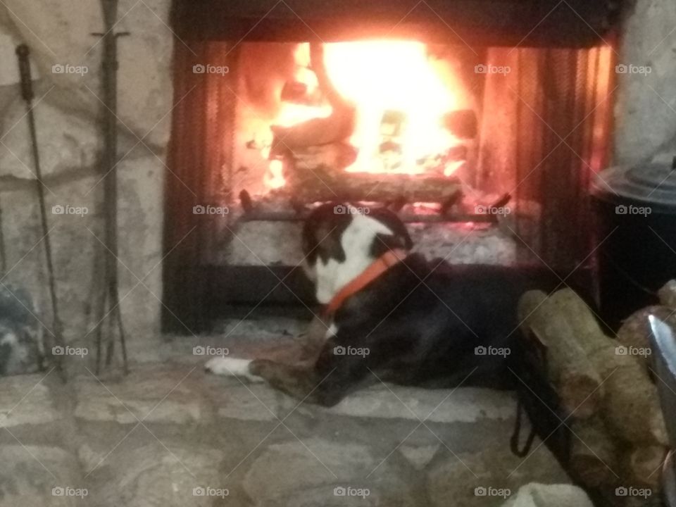 sweetie warning by the fire