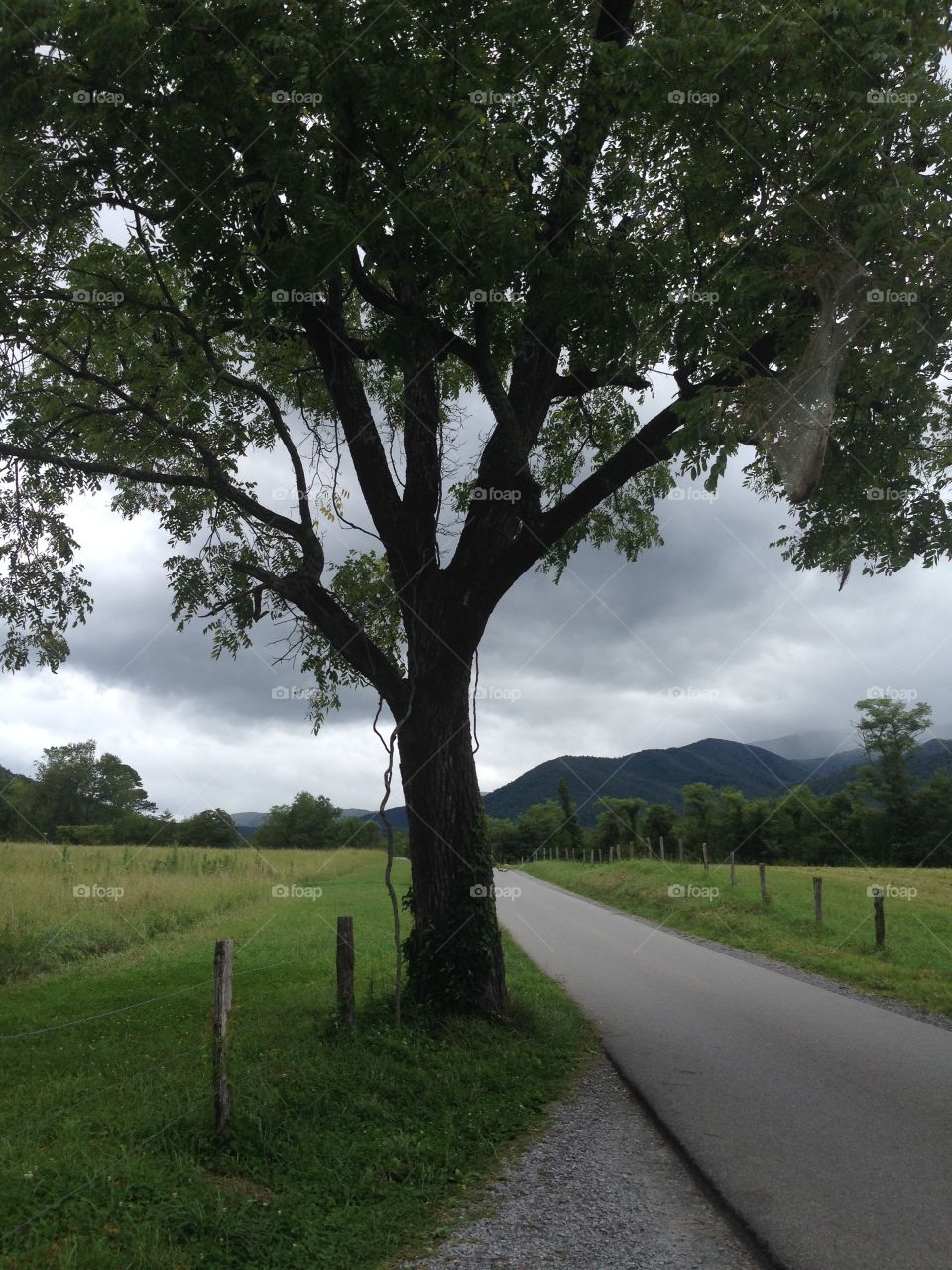 Cades Cove, Tennessee 