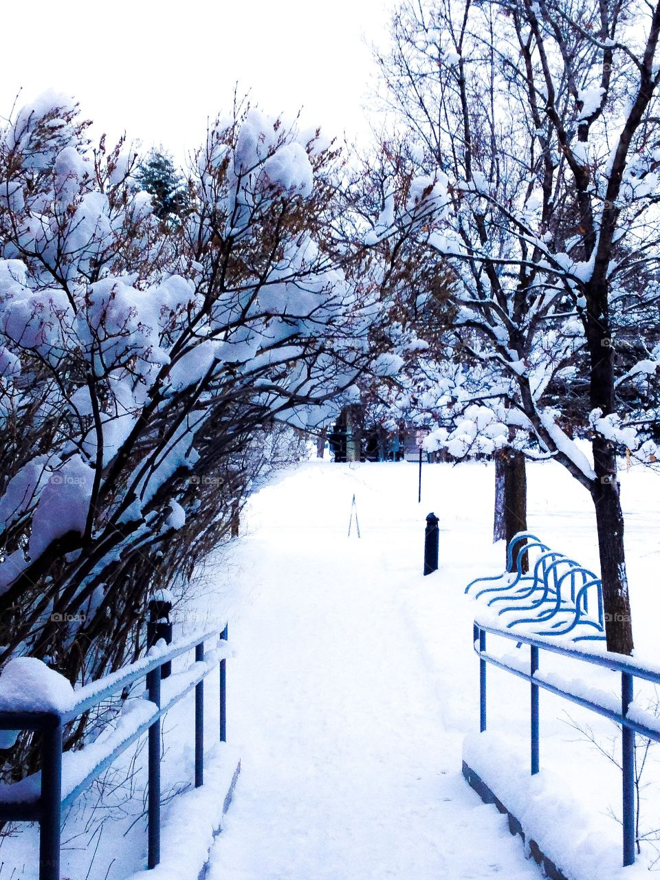 A walk in the snow