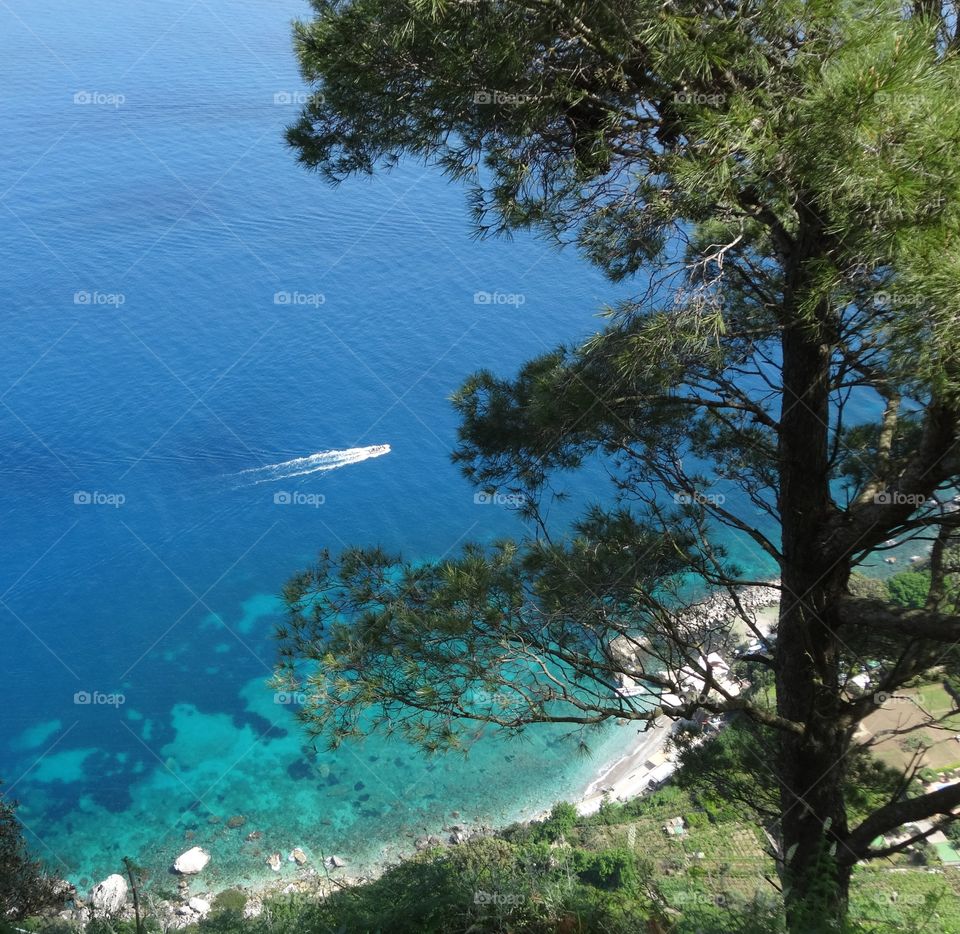 view of Capri