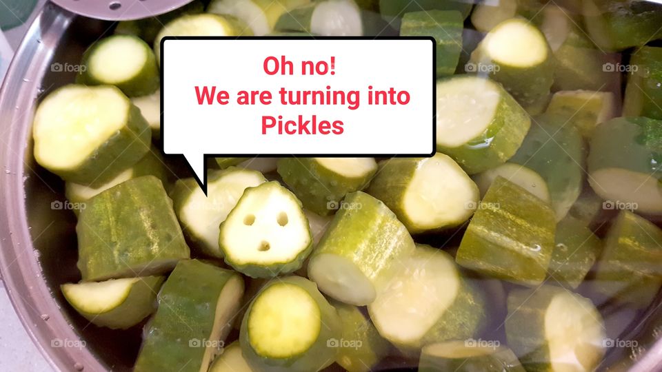 Making Pickles