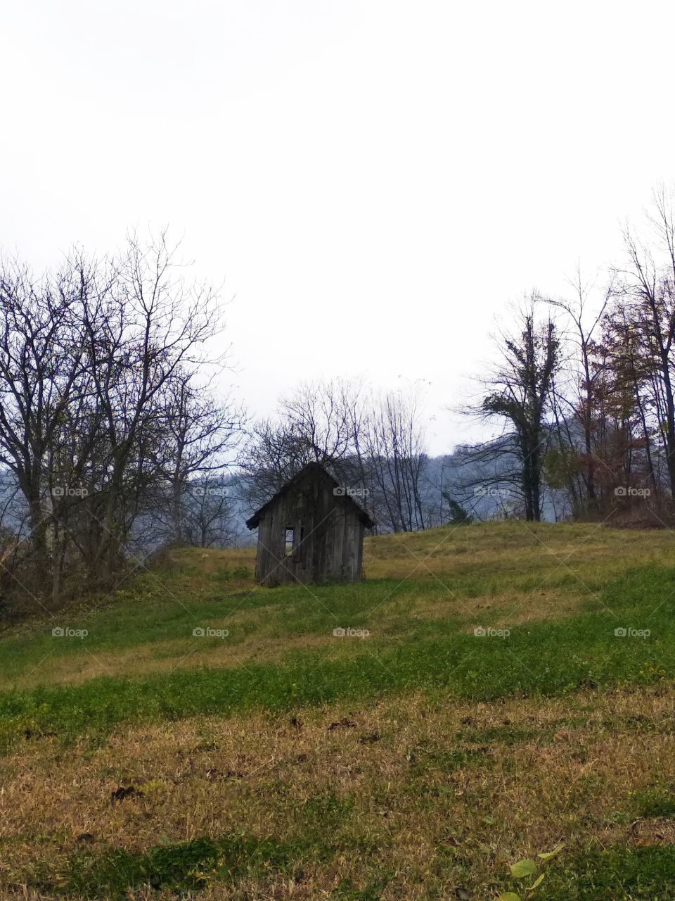 abandoned farm 100yrs old