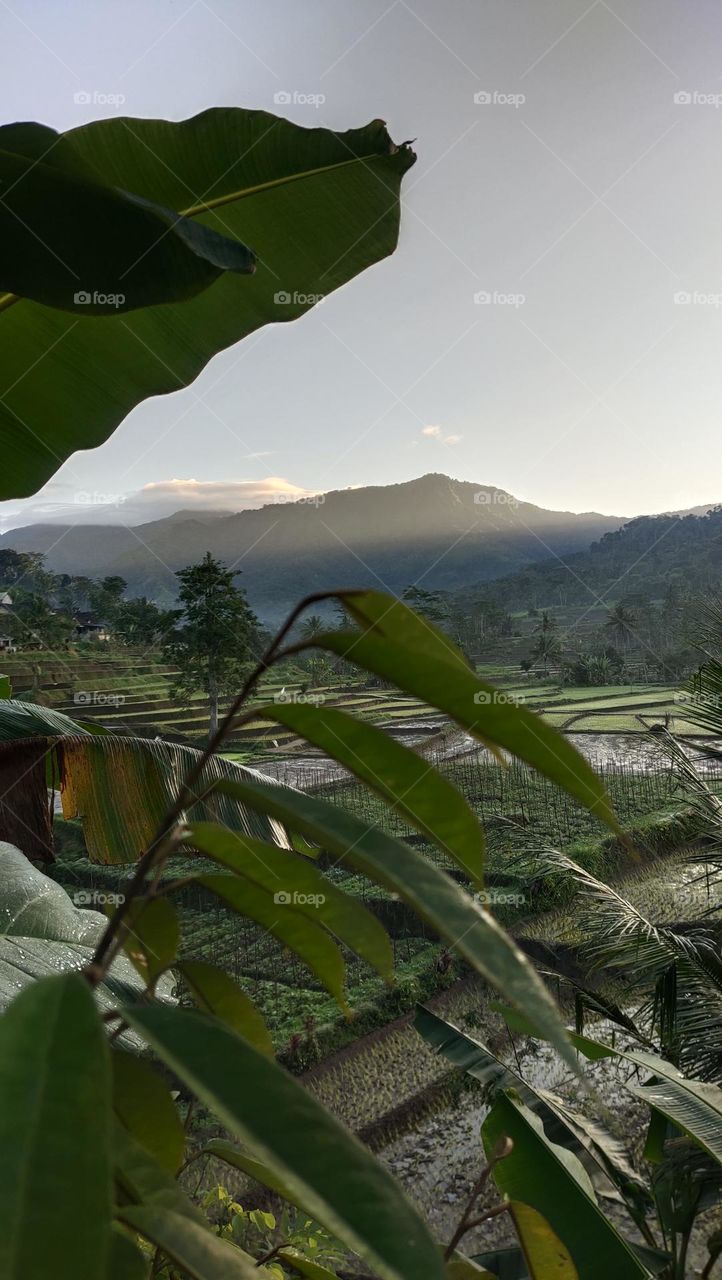 pegunungan di malang